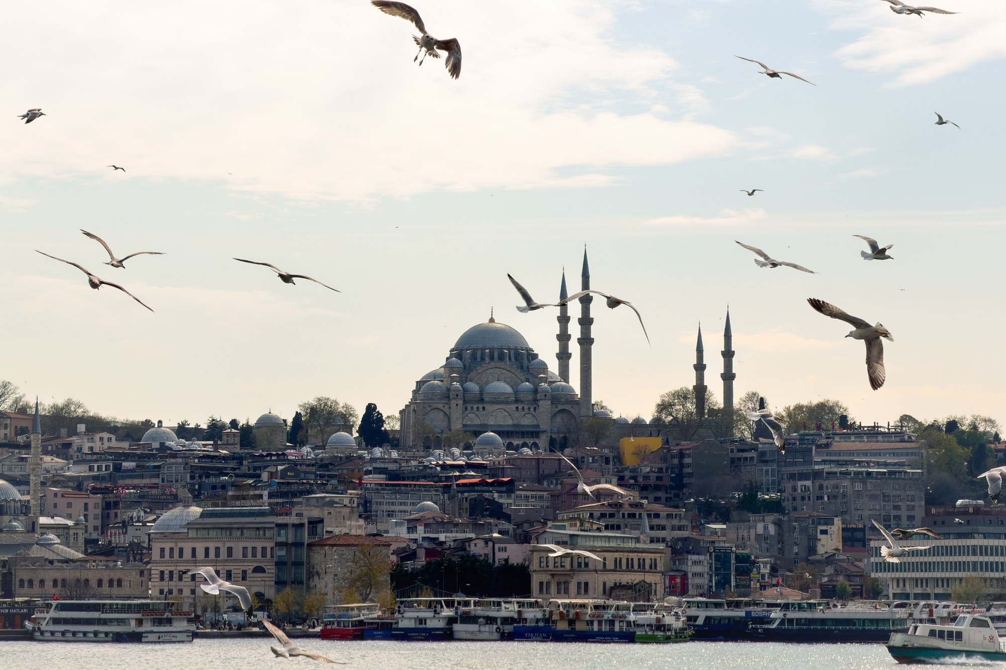 Gaviotas sobre el agua y una mezquita de Estambul · iPhone 17 Pro